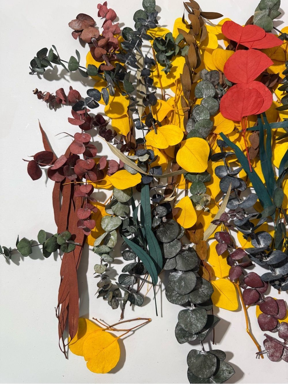Mixed Dried Eucalyptus and Preserved Floral Stems - Yellow, Green, Red, Brown - Picture 3 of 5